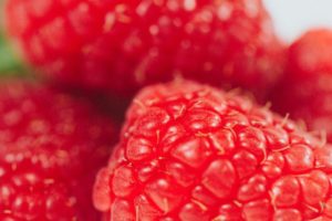  | World's Finest Bridgeport |  | Raspberries2011_preview_jpeg | World's Finest Bridgeport